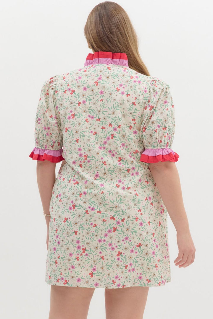 Women's plus size floral print multi color short spring dress