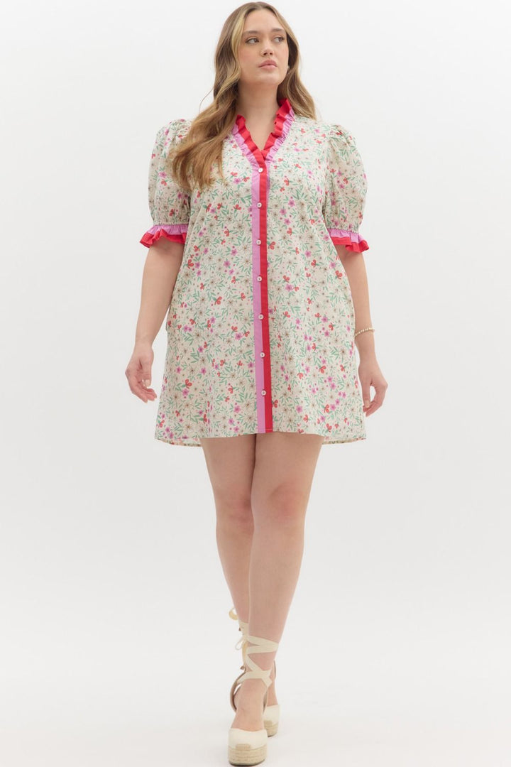 Women's plus size floral print multi color short spring dress