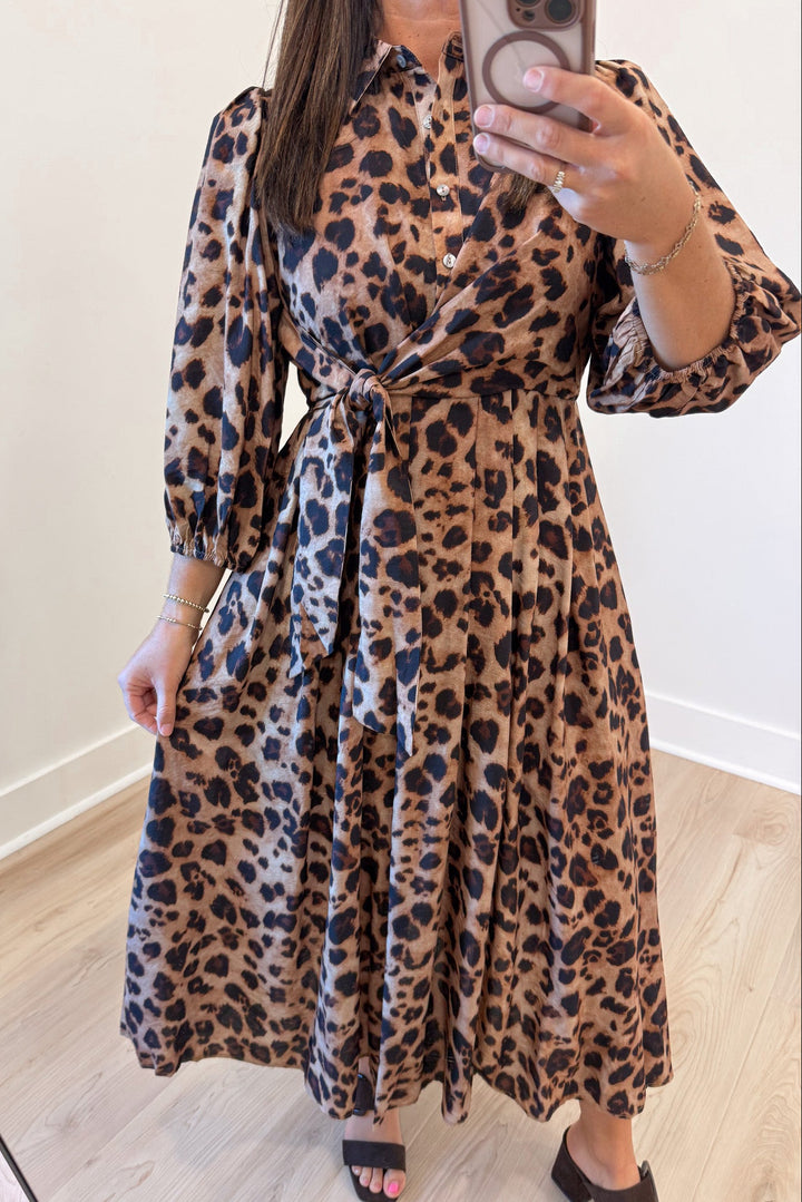 brown and black leopard print collared neckline button front bodice wrap tie waist midi dress