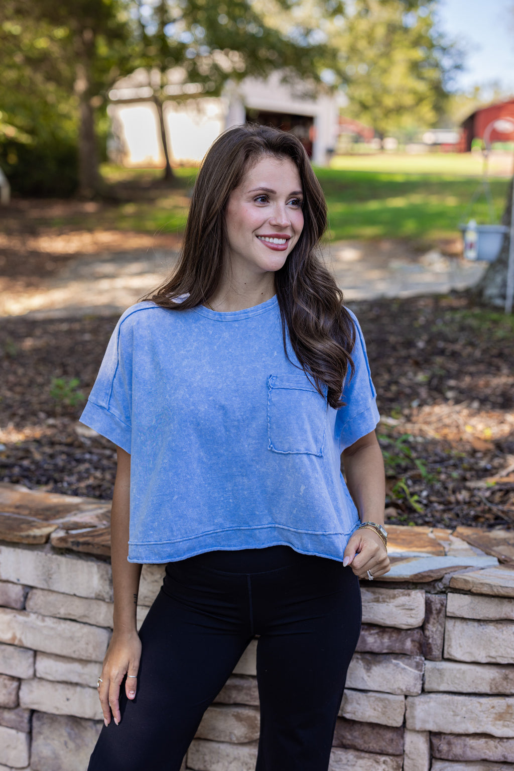 blue mineral wash cropped basic tee