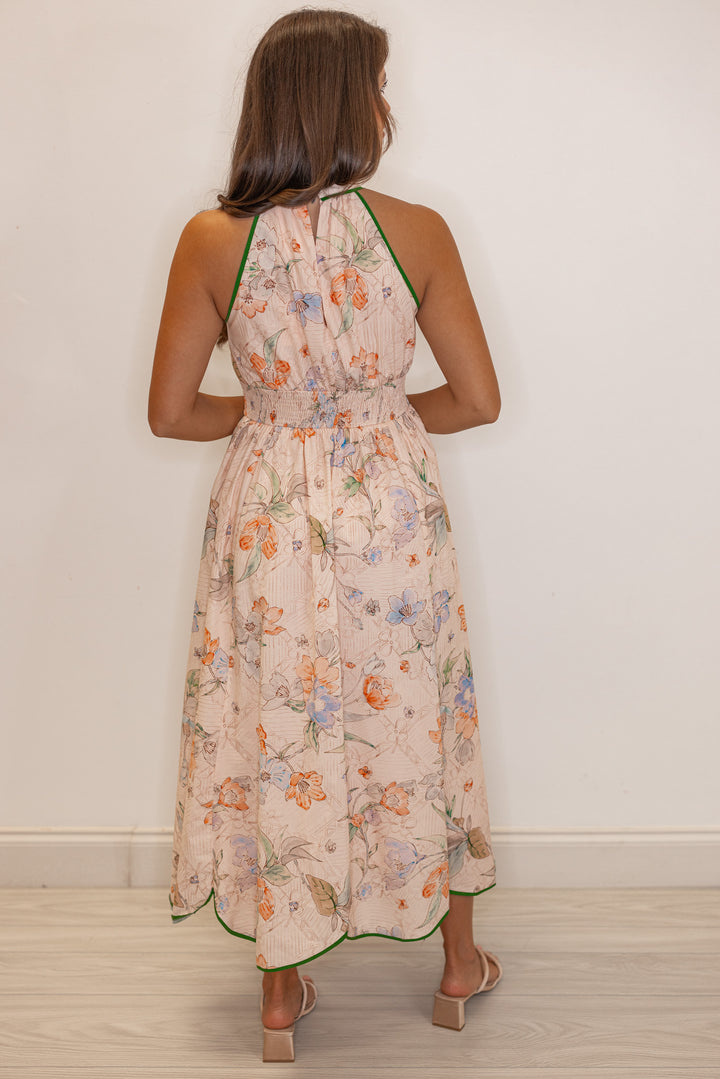 Women's blush floral print midi dress with green stripes and a tulip hem by Entro showing full back view