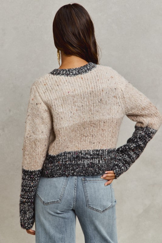 Women's multicolor taupe wide stripe button front sweater with charcoal trim by So Me showing back view